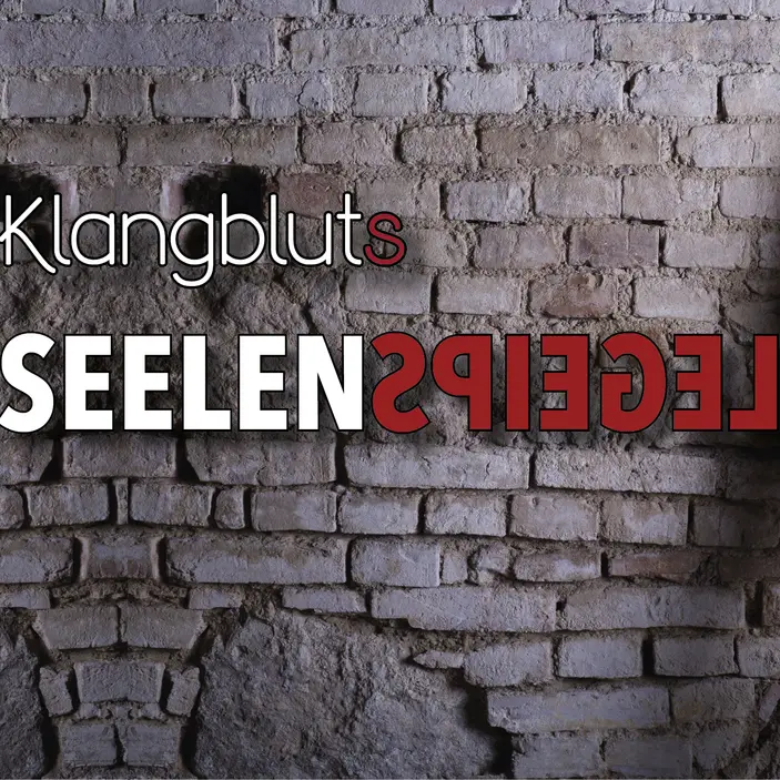 Cover von Seelenspiegel