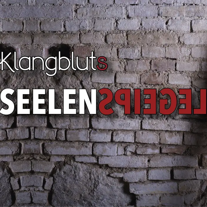 Cover von Seelenspiegel